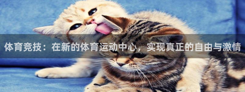 风速体育nba直播：体育竞技：在新的体育运动中心，实现真正的自由与激情