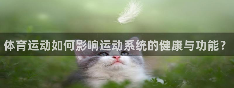 风速体育app下载官网最新版：体育运动如何影响运动系统的健康与功能？
