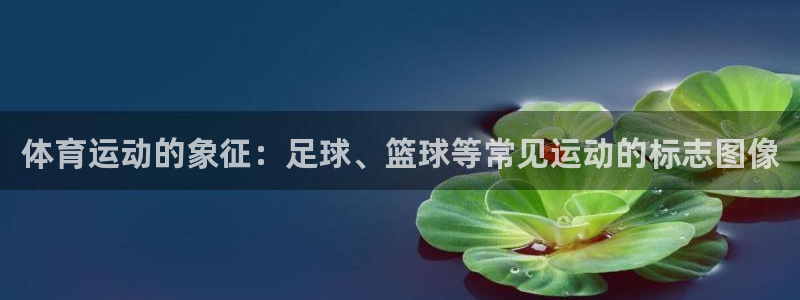 风速体育直播：体育运动的象征：足球、篮球等常见运动的标志图像