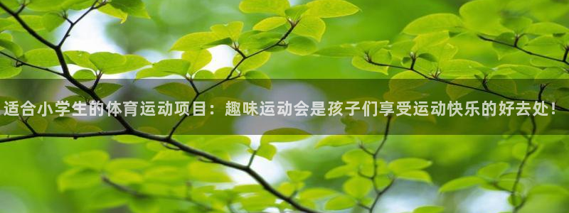 风速体育直播app：适合小学生的体育运动项目：趣味运动会是孩子们享受运动快乐的好去处！