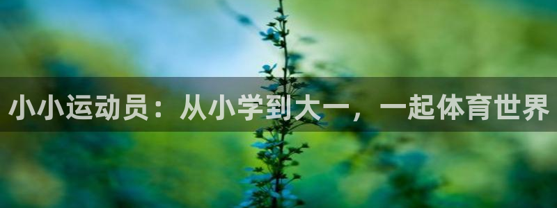 风速体育nba免费直播：小小运动员：从小学到大一，一起体育世界