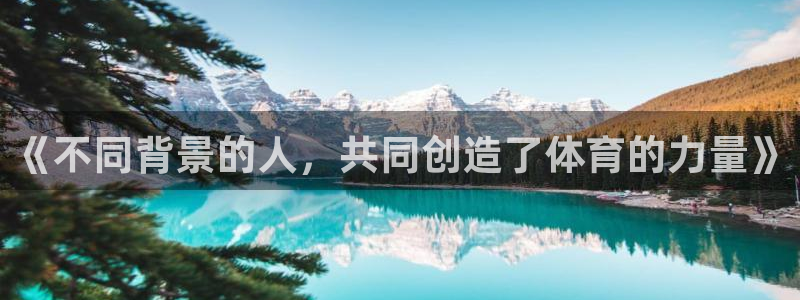 风速体育app官方下载：《不同背景的人，共同创造了体育的力量》